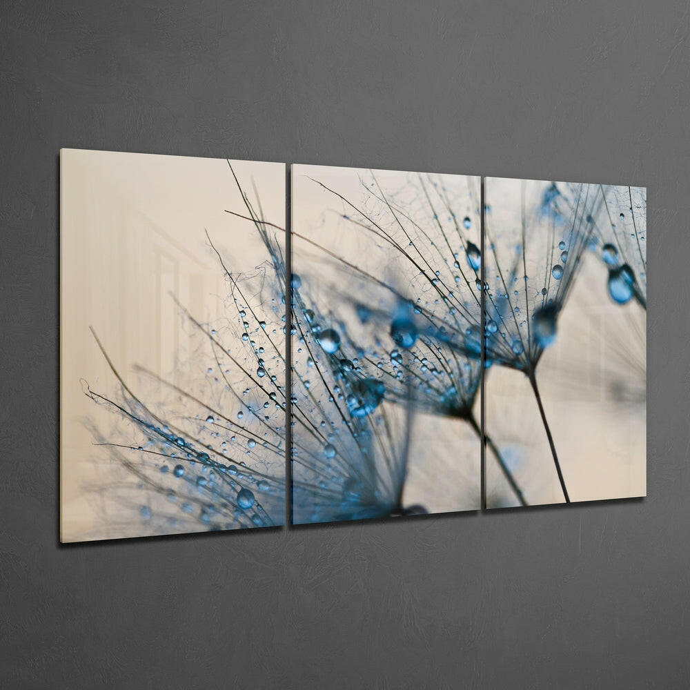 Dandelion Glass Wall Art