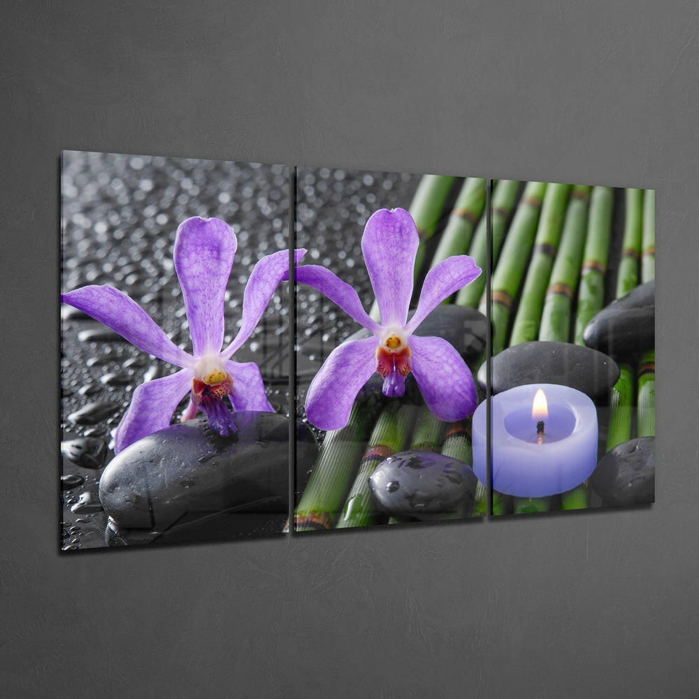 Purple Orchid Glass Wall Art