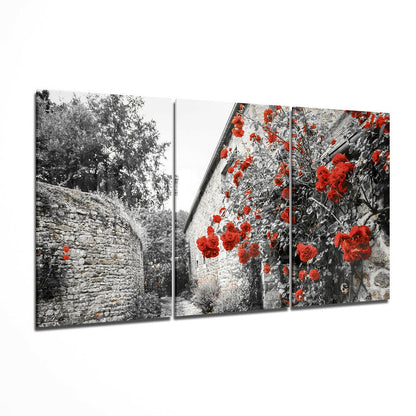Red flowers glass wall art print hanging on a wall