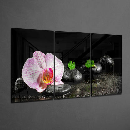 Orchid Glass Wall Art