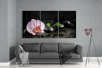 Orchid Glass Wall Art