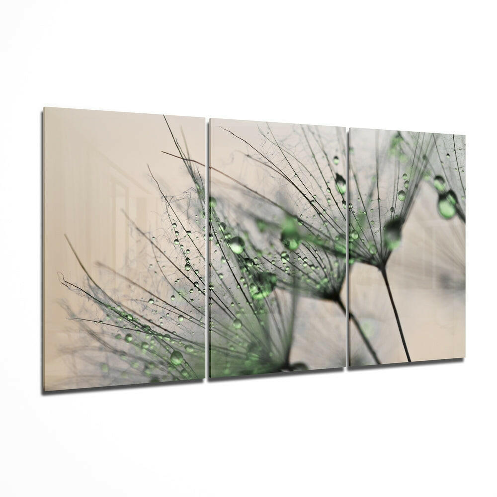 Green dandelion tempered glass wall art
