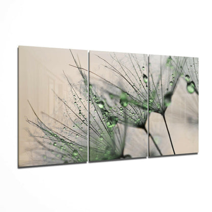 Green dandelion tempered glass wall art