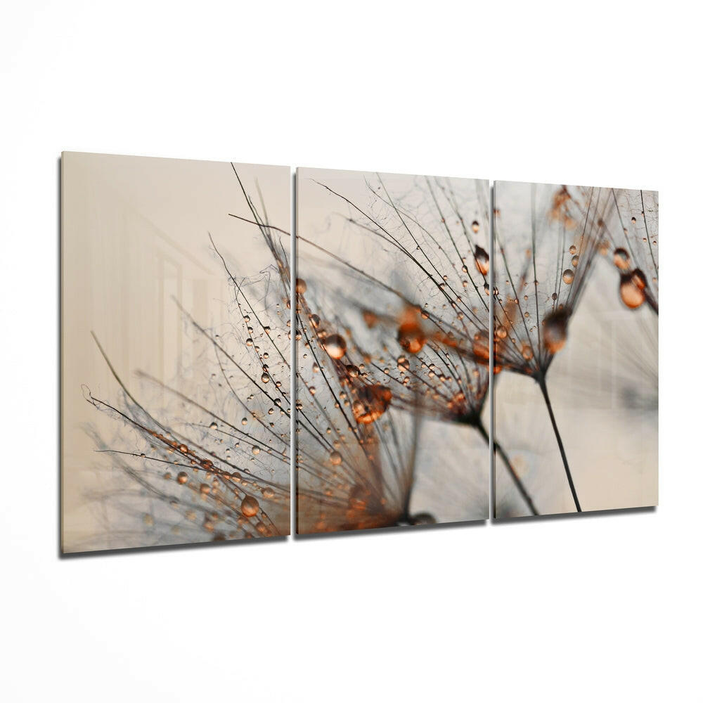 Cinnamon dandelion tempered glass wall art
