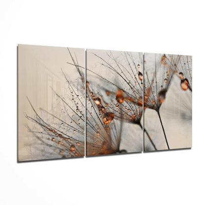 Cinnamon dandelion tempered glass wall art