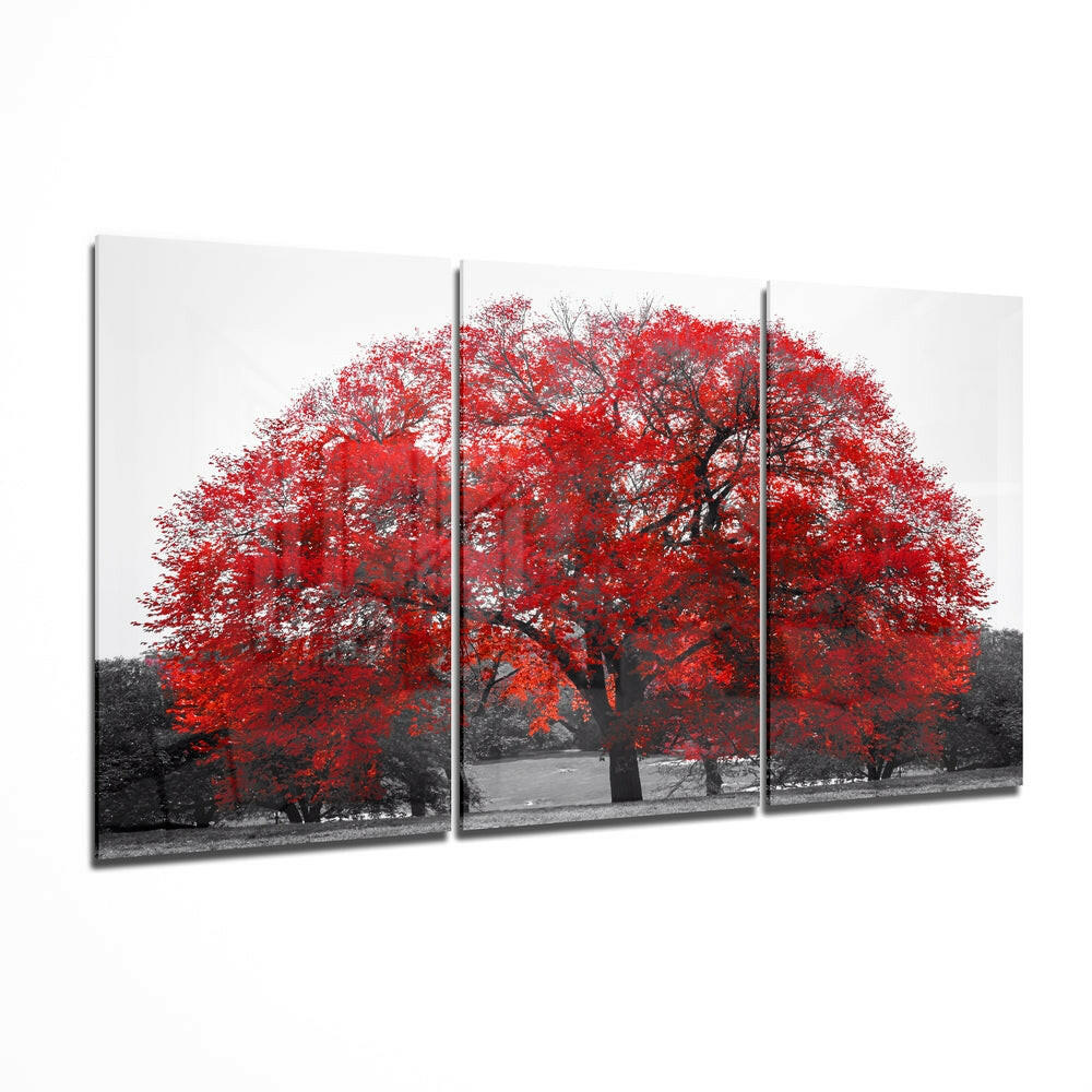 Red tree tempered glass wall art