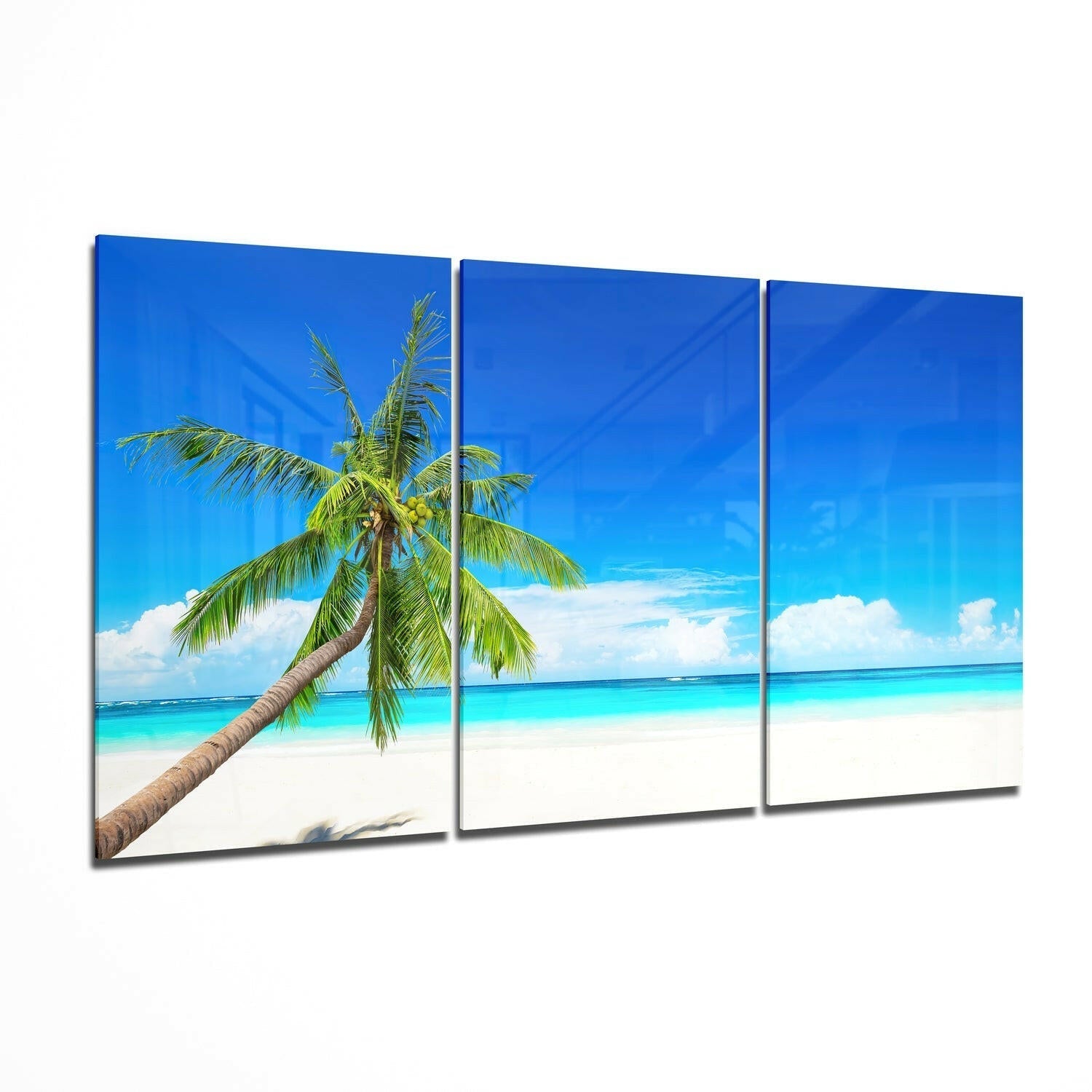 Palm beach glass wall art print