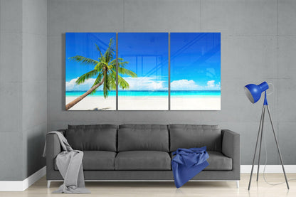 Palm Beach Glass Wall Art