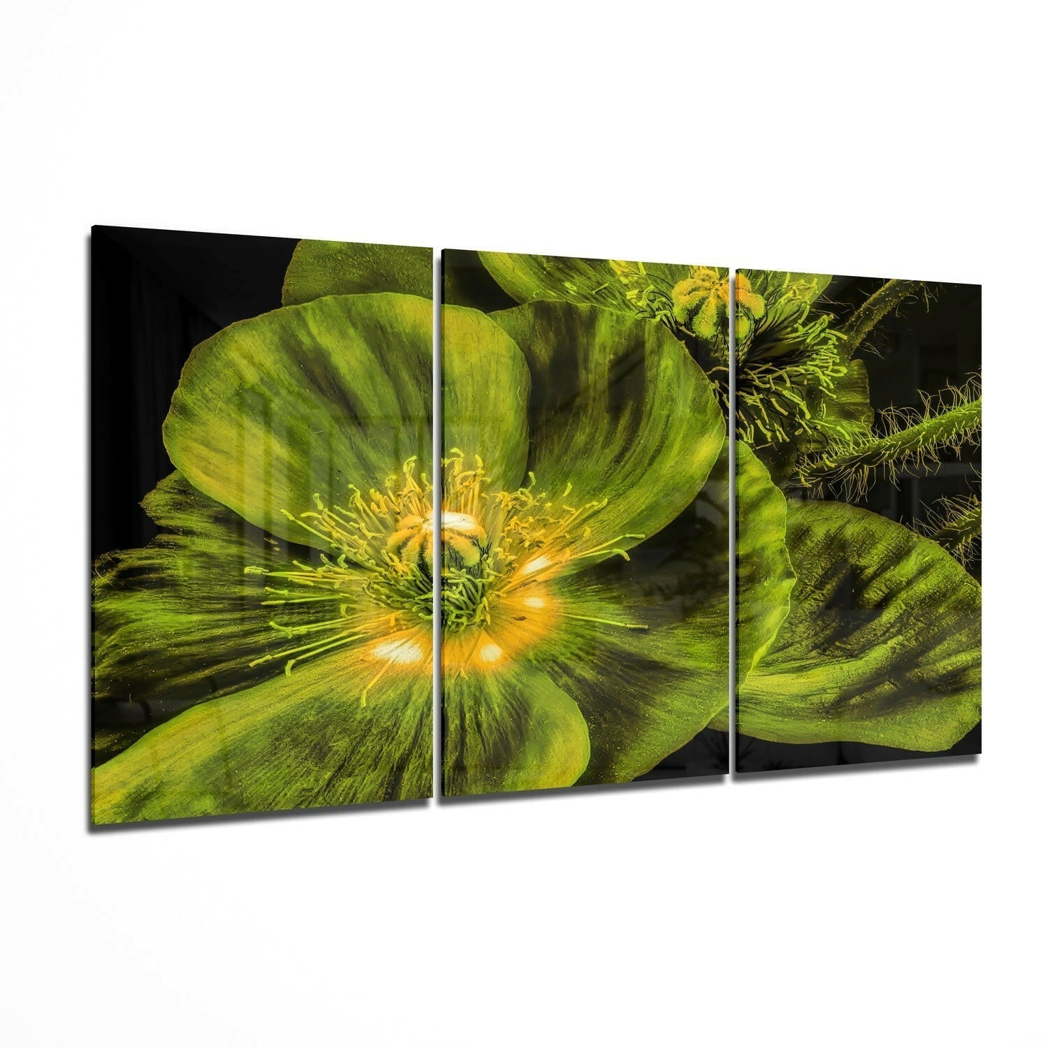 Flower glass wall art print