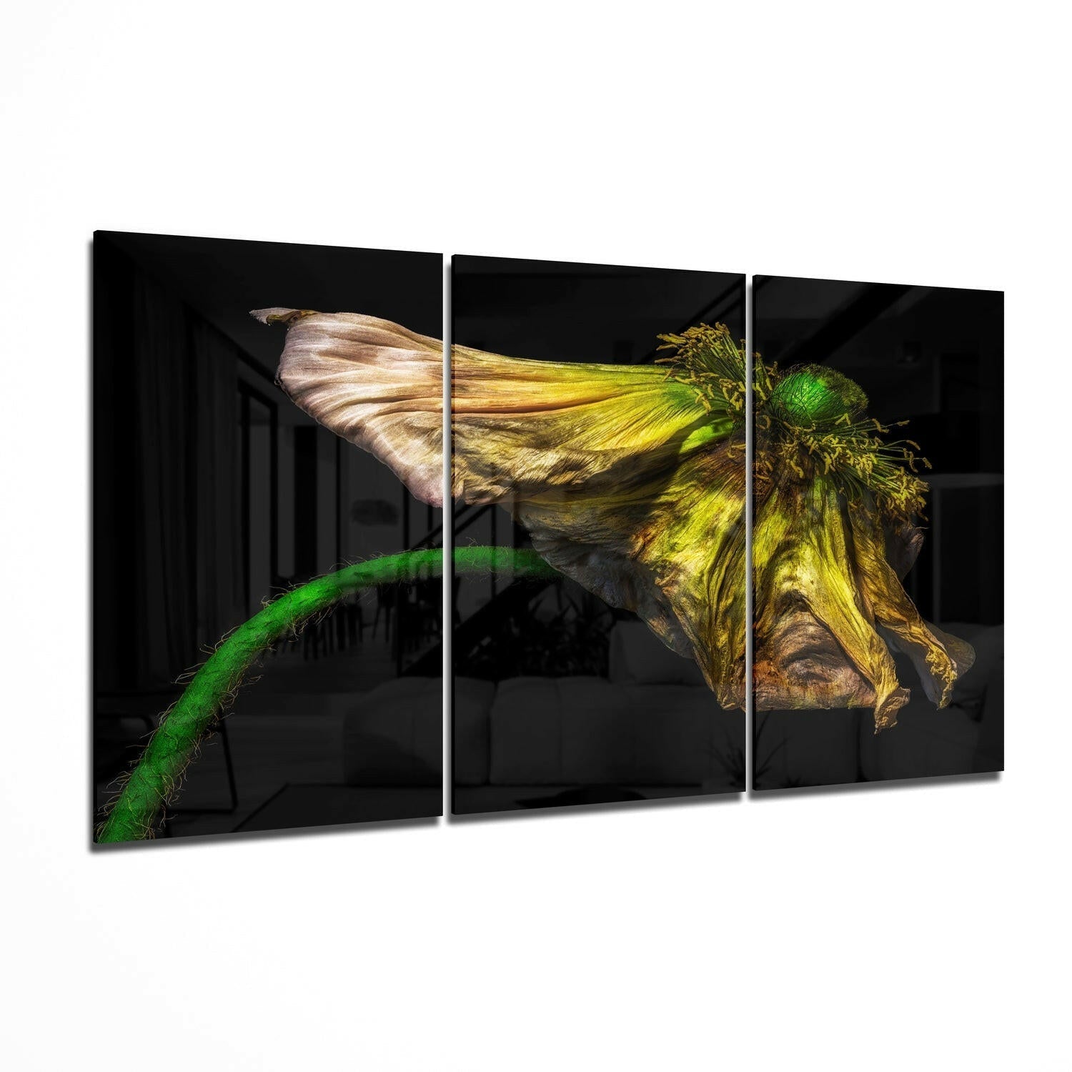 Macro flower glass wall art hanging on a wall