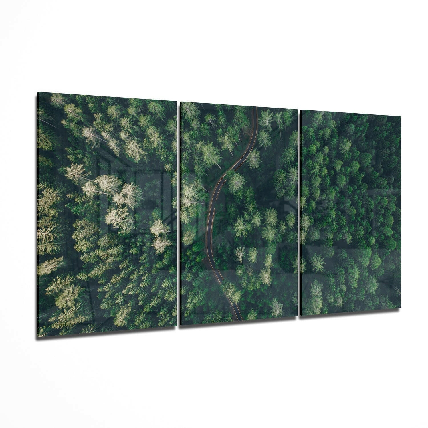 Forest glass wall art nature decor