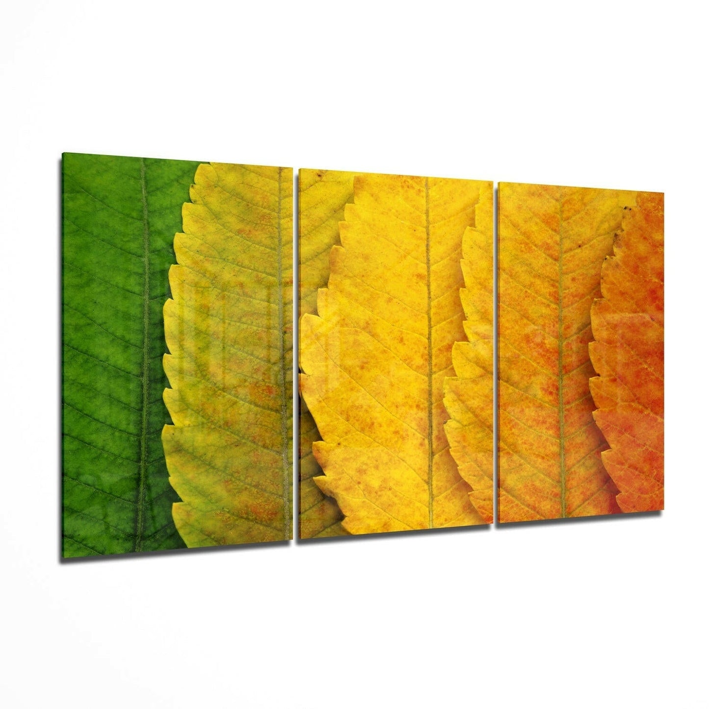 Autumn Leaves Glass Wall Art 3-piece set
