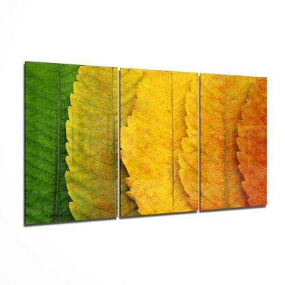 Autumn Leaves Glass Wall Art 3-piece set