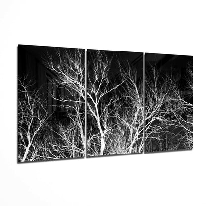 Branches botanical glass wall art
