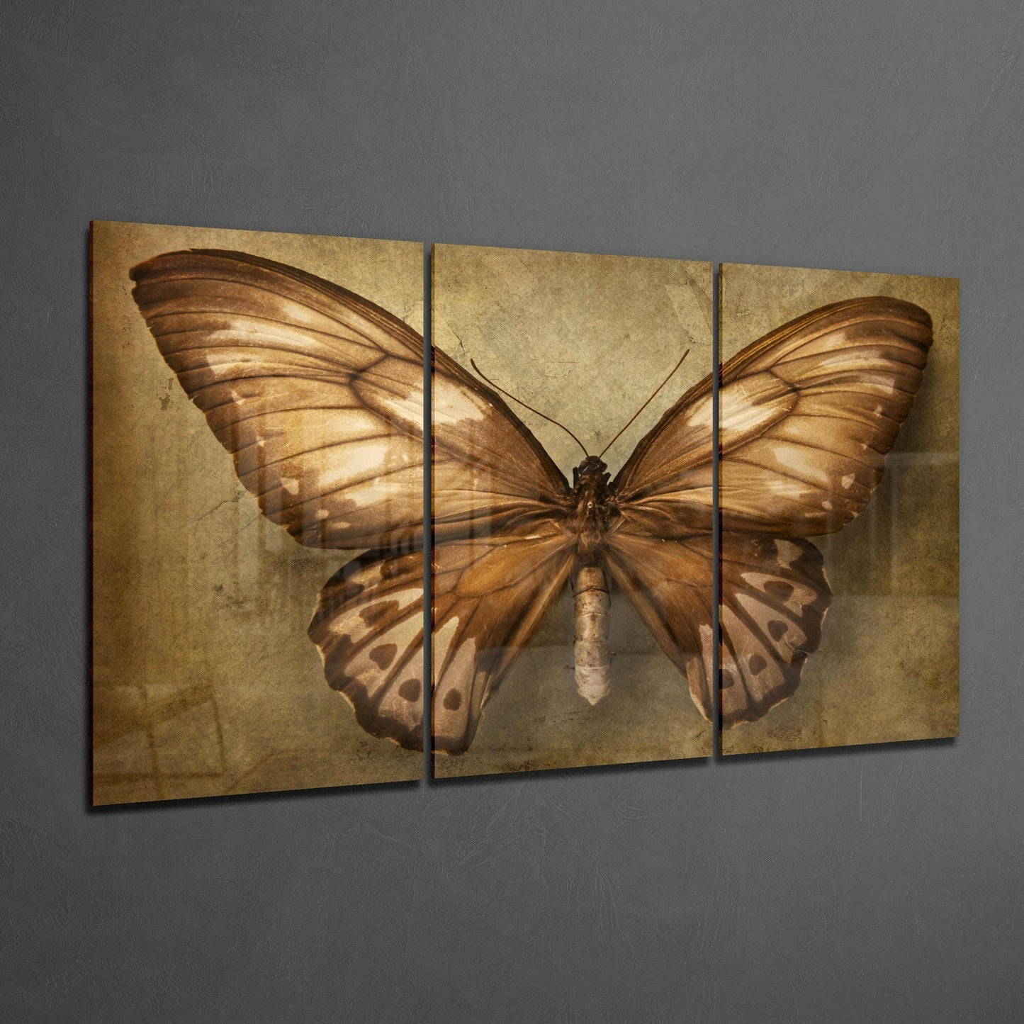 Butterfly Glass Wall Art