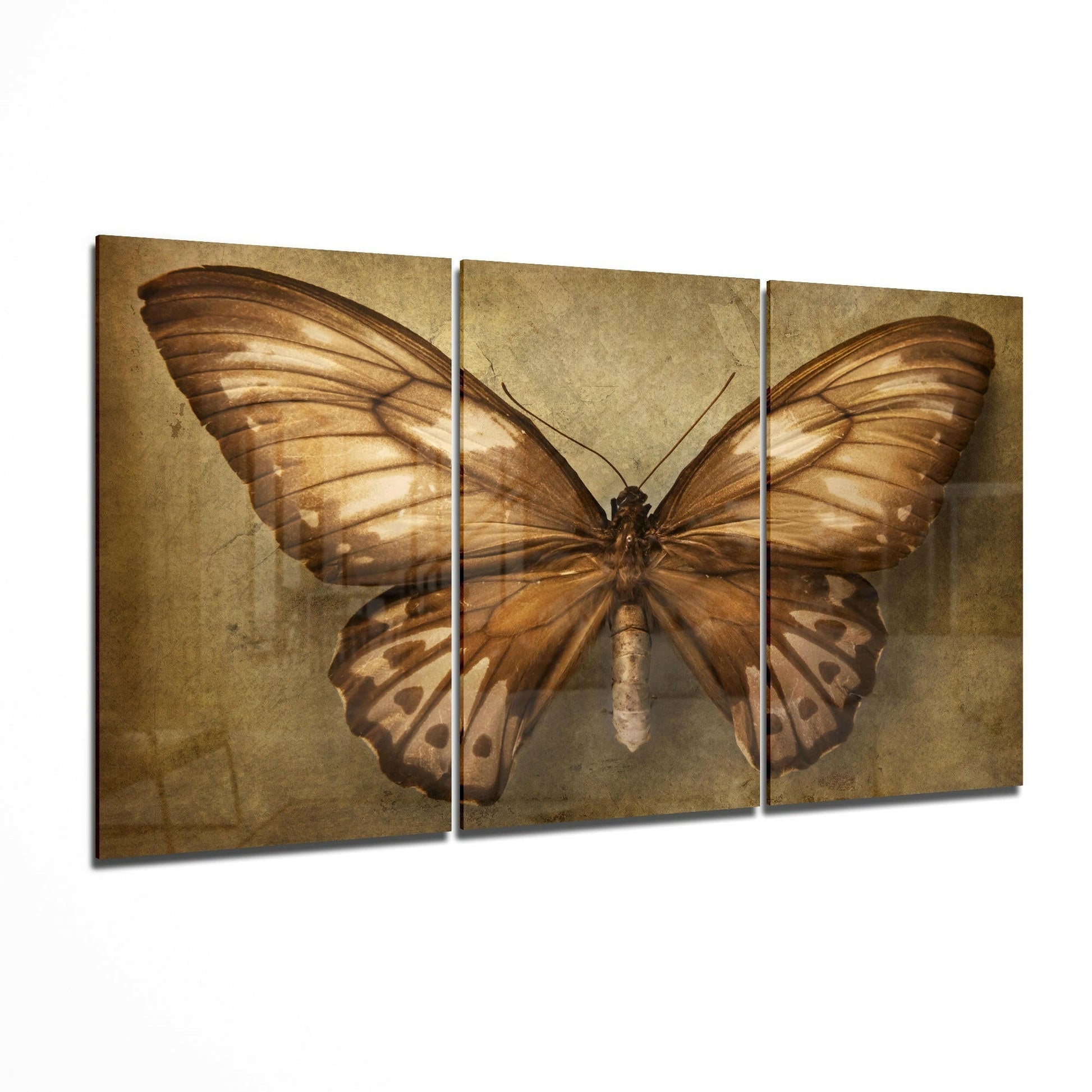 Butterfly glass wall art displayed on a living room wall