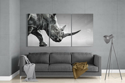Rhino Glass Wall Art