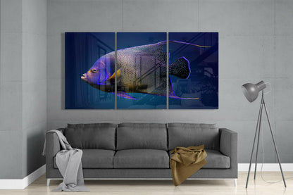 Queen Angel Fish Glass Wall Art
