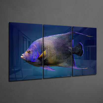 Queen Angel Fish Glass Wall Art
