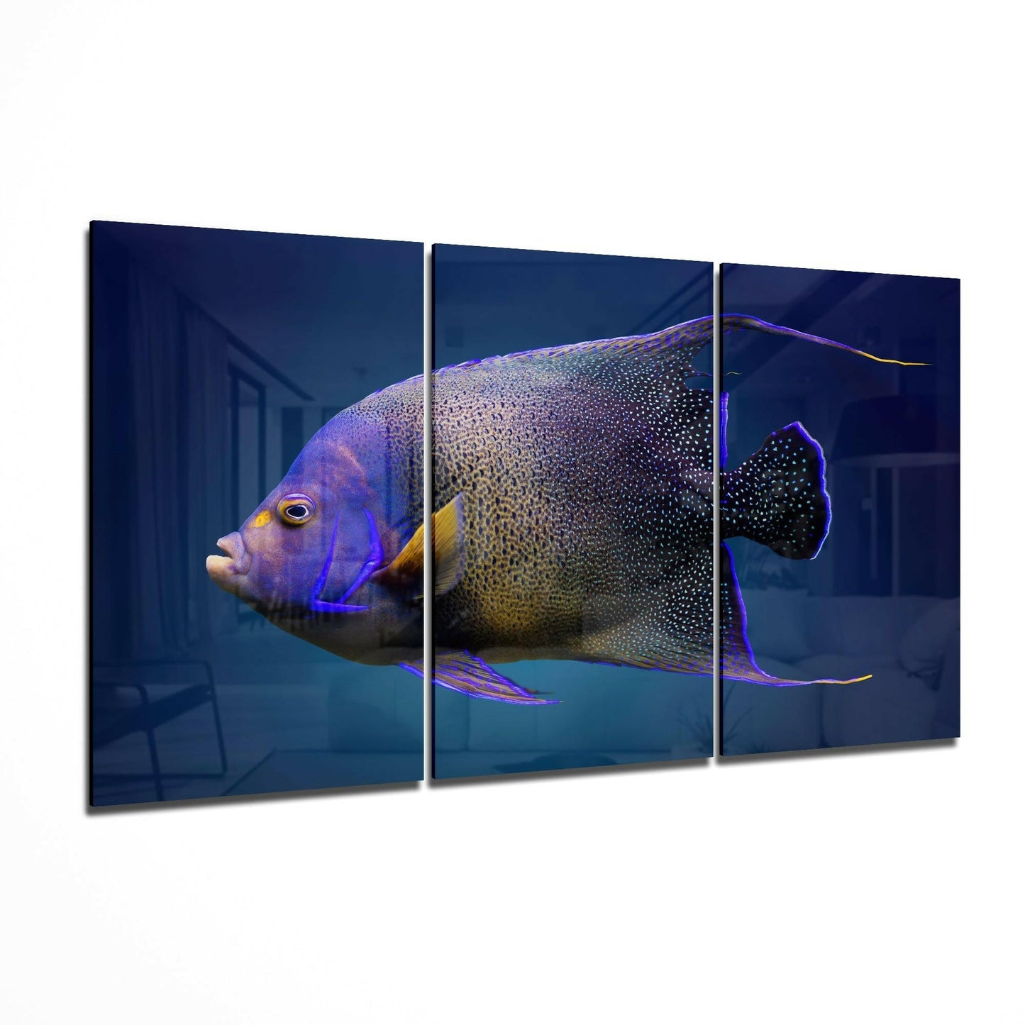 Queen Angel Fish glass wall art 3-piece set featuring a coastal reef fish