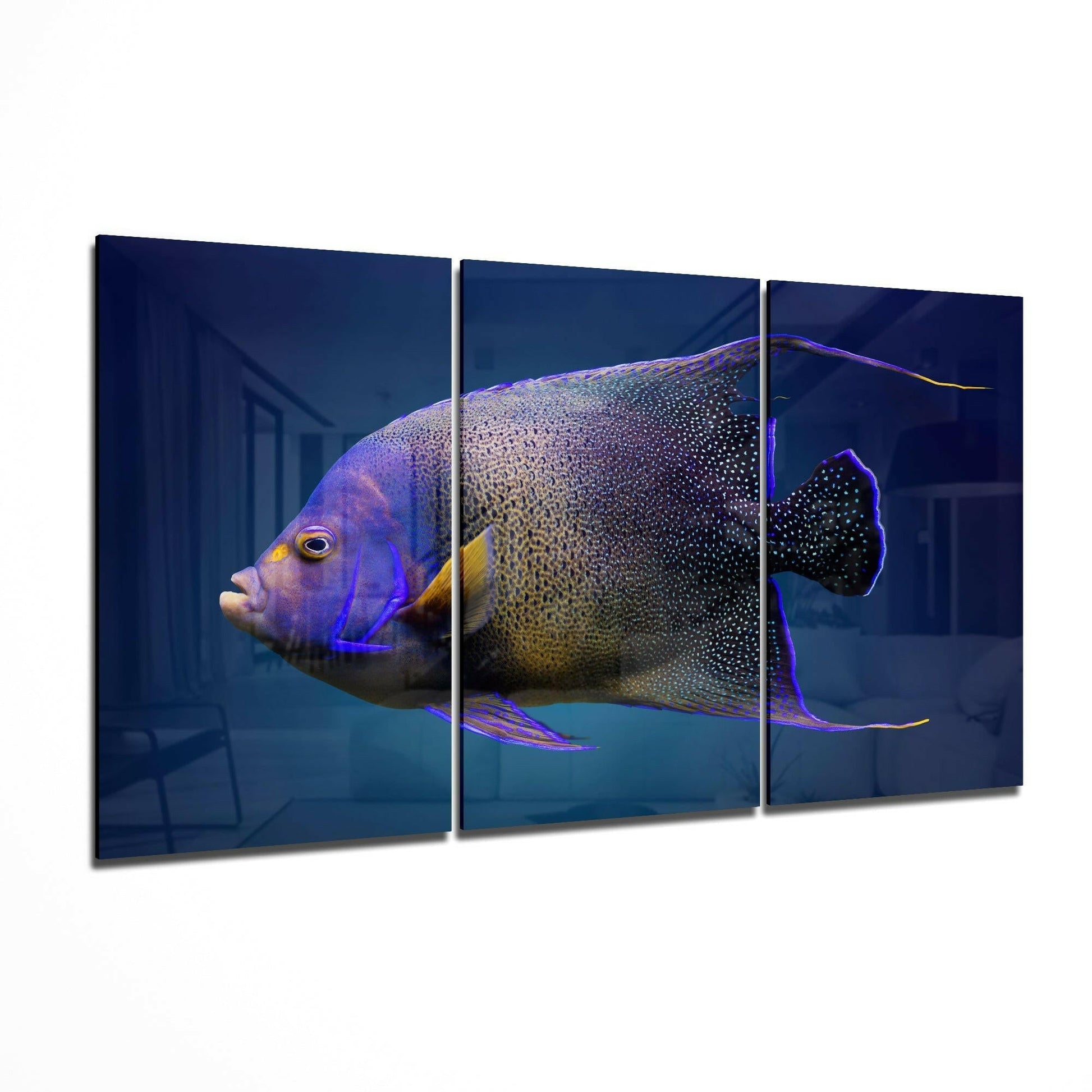 Queen Angel Fish glass wall art 3-piece set featuring a coastal reef fish