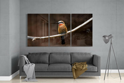 Bee-eater Glass Wall Art