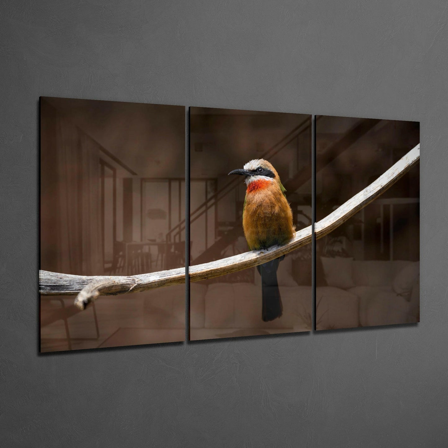 Bee-eater Glass Wall Art
