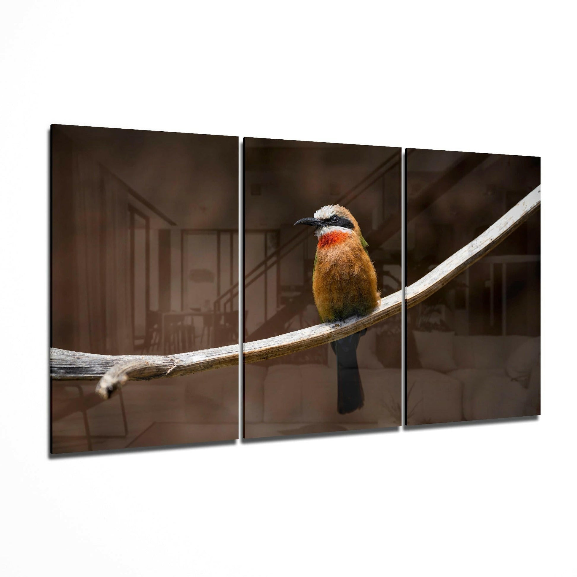 Bee-eater glass wall art 3-piece set featuring a colorful exotic bird