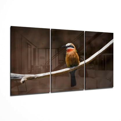 Bee-eater glass wall art 3-piece set featuring a colorful exotic bird