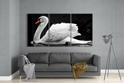 Swan Glass Wall Art