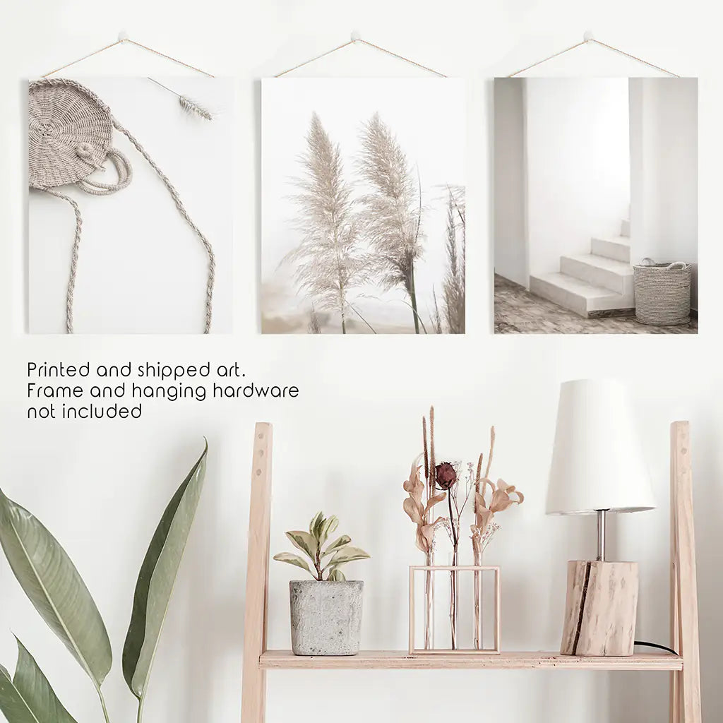 Boho Pampas Grass Wall Art Set of 3 Prints