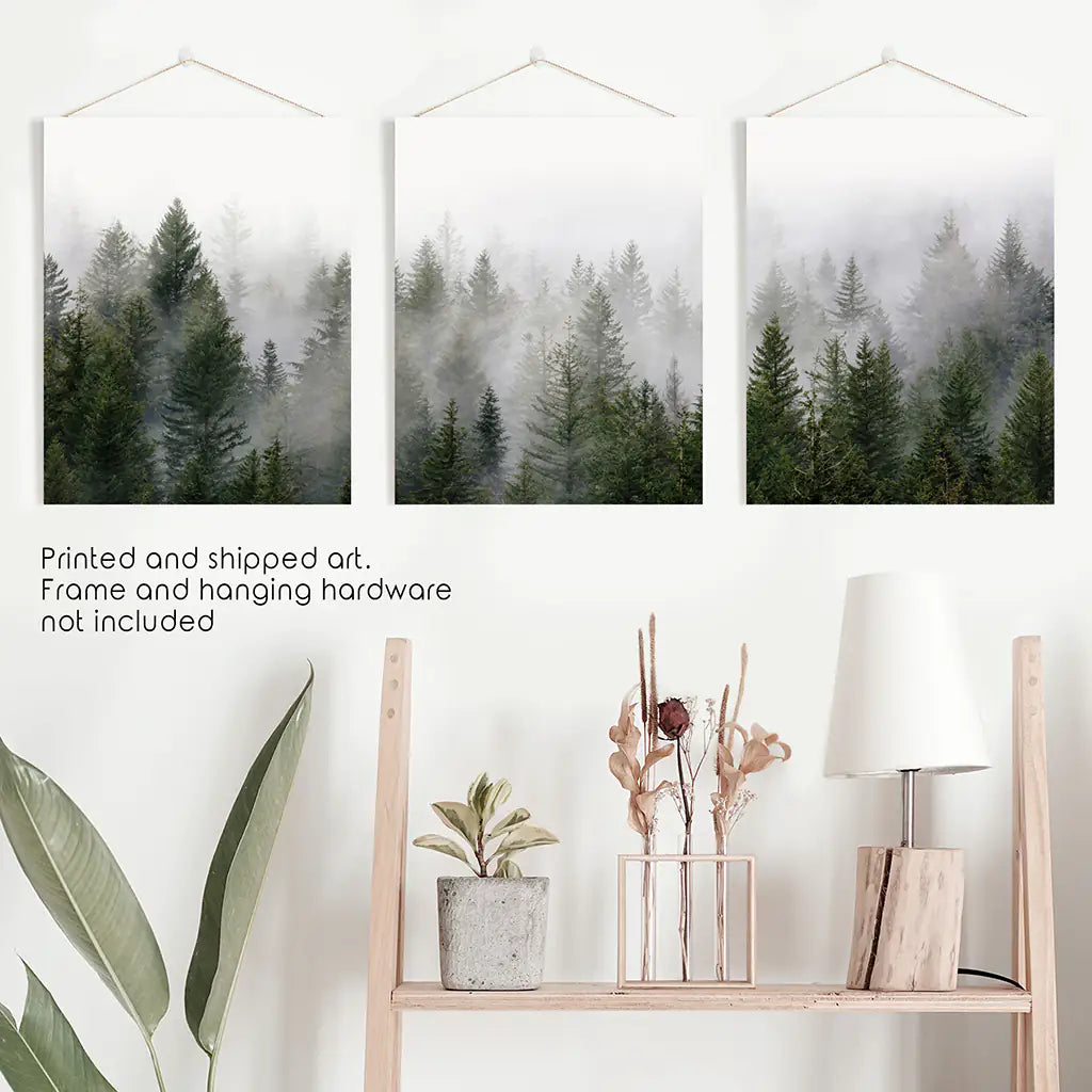Green Pine Forest Wall Art, Foggy Nature 3 Piece Set