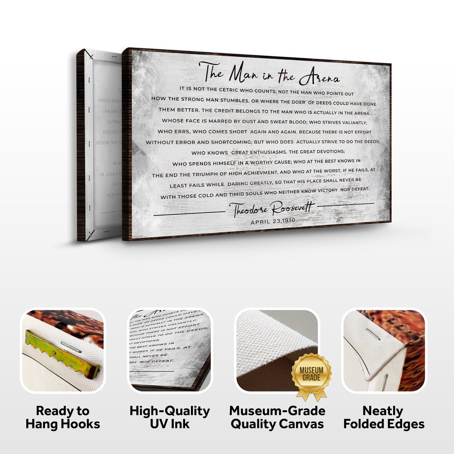 The Man In The Arena Canvas Wall Art