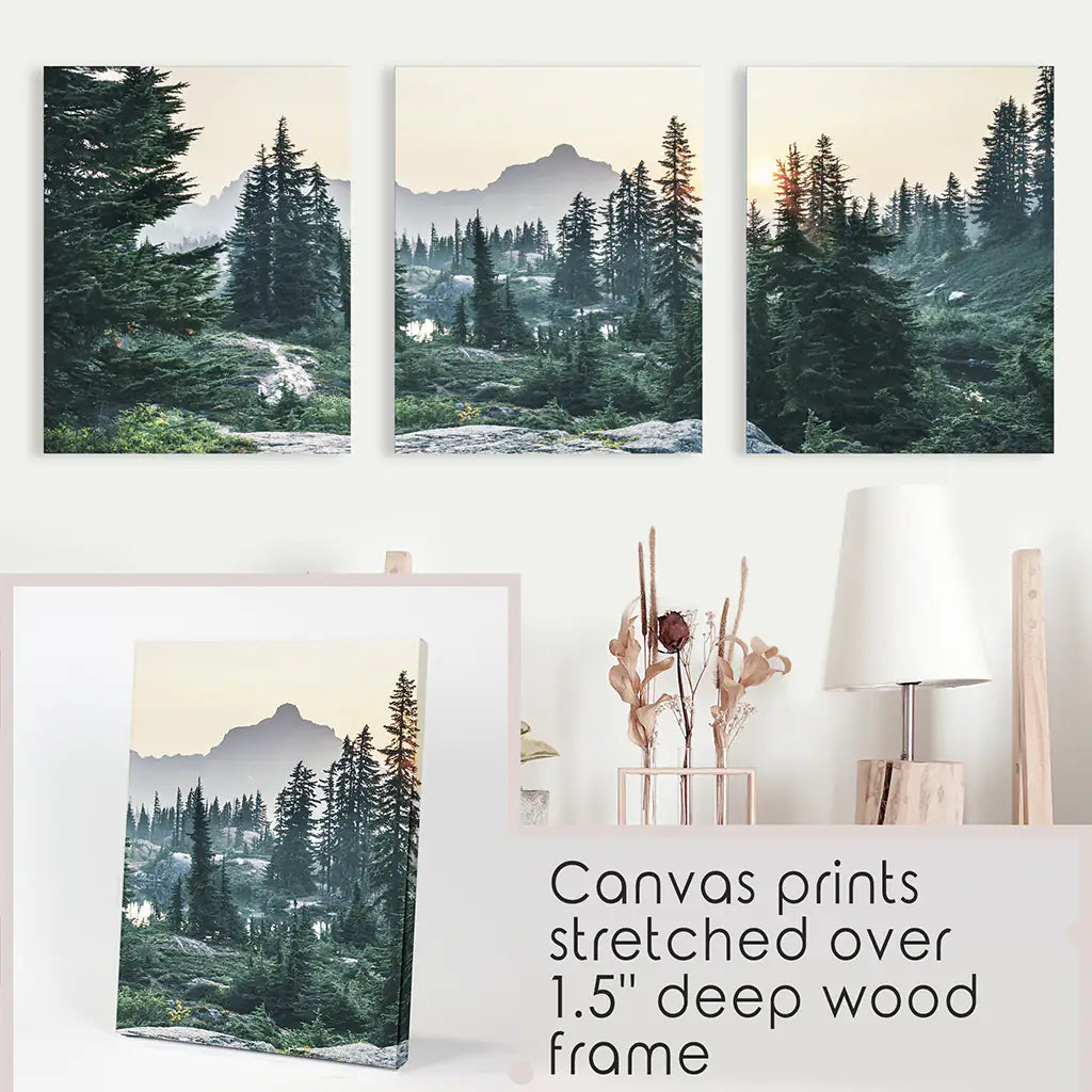 Mountain Forest Wilderness Wall Art, USA 3 Piece Set