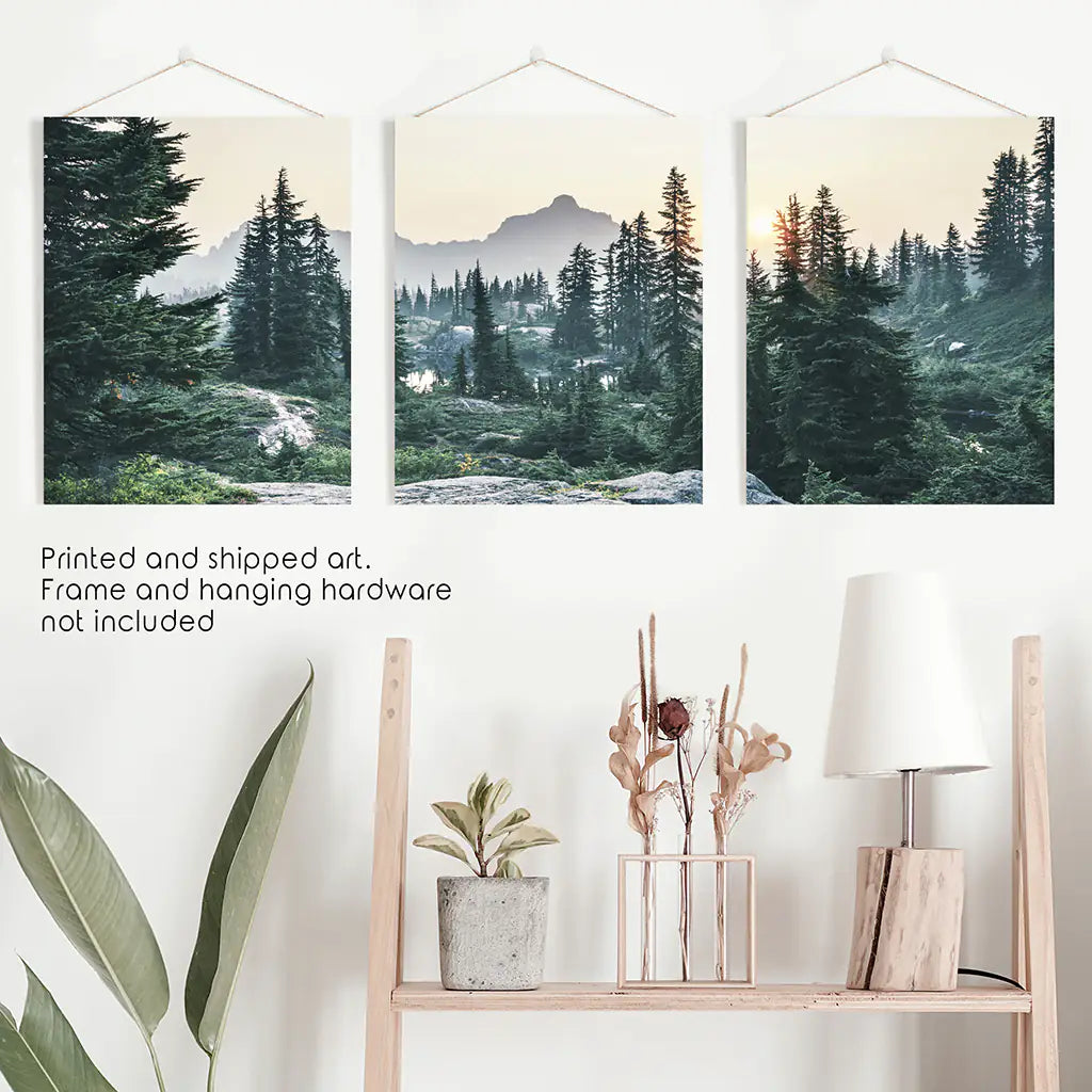 Mountain Forest Wilderness Wall Art, USA 3 Piece Set