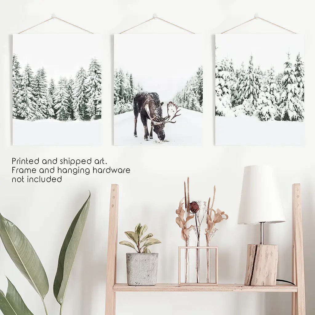 Winter Moose Wall Art Set of 3 Snowy Forest Prints
