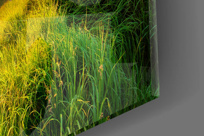 Valley Glass Wall Art