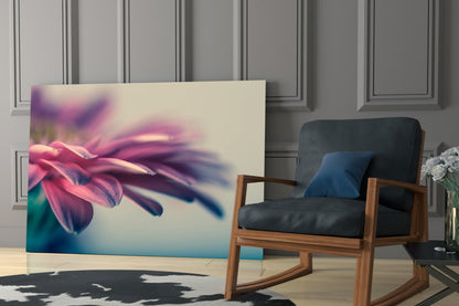 Pink Gerbera Petals Glass Wall Art