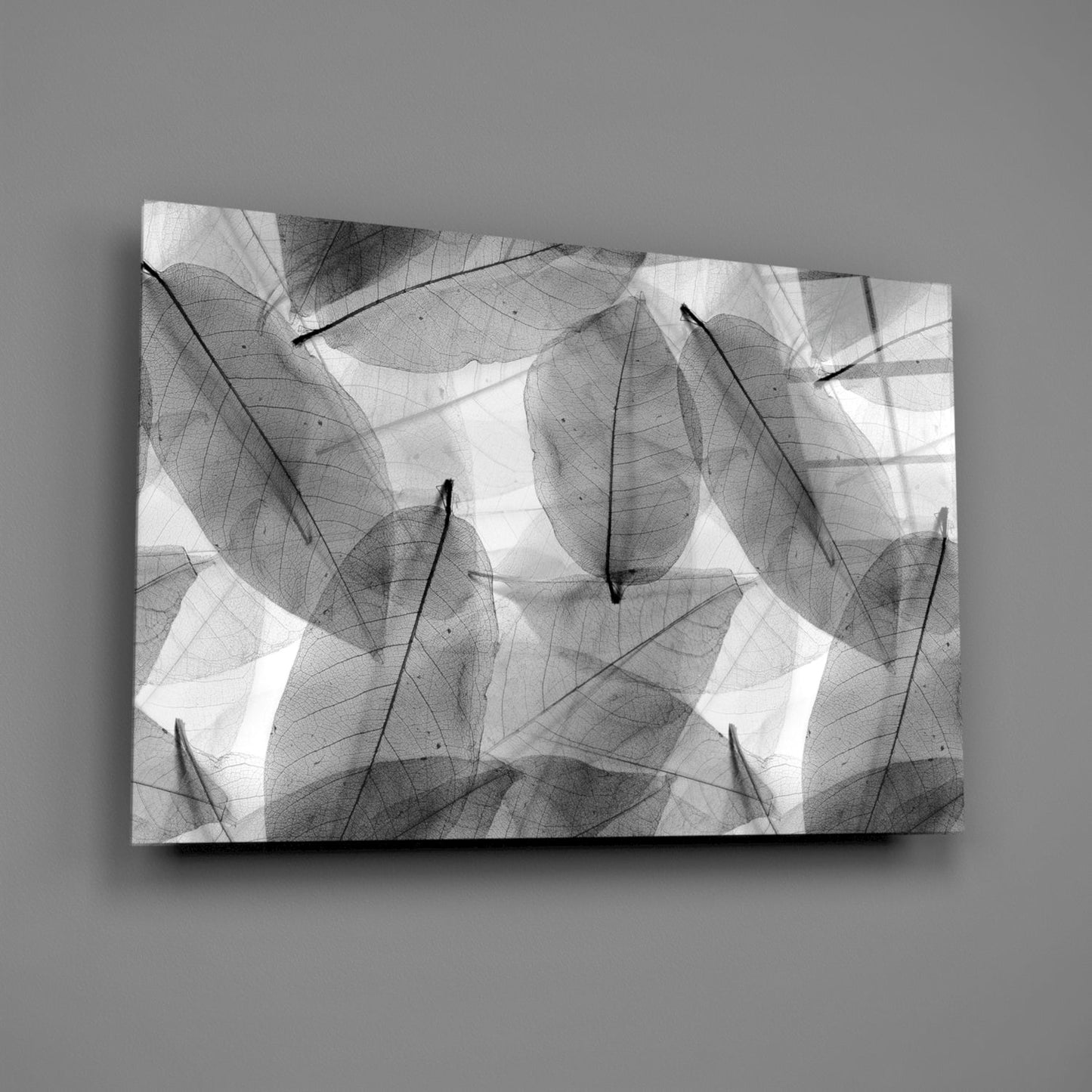 Black & White Leaves Glass Wall Art