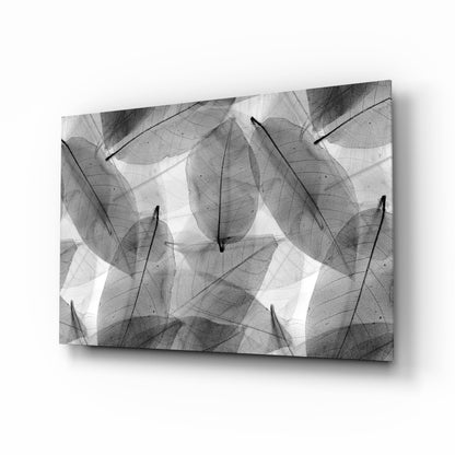Black & White Leaves Glass Wall Art