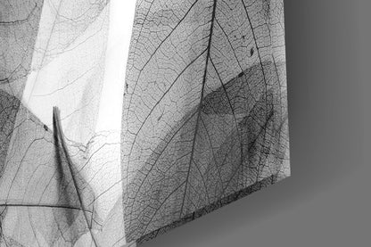 Black & White Leaves Glass Wall Art