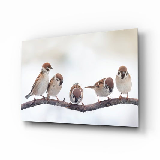 Sparrows on a Branch Glass Wall Art