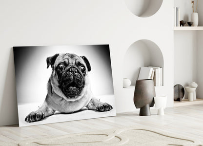 Pug Portrait Glass Wall Art