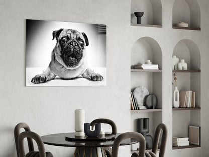 Pug Portrait Glass Wall Art