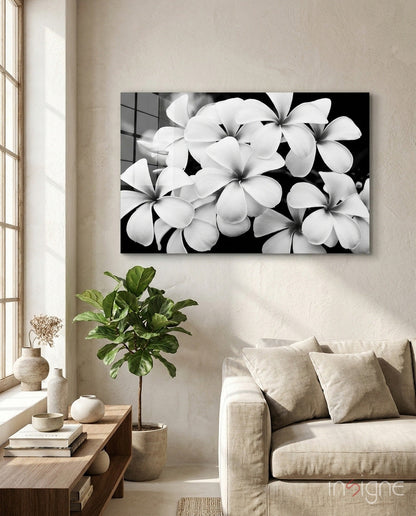 Monochrome plumeria cluster glass wall art
