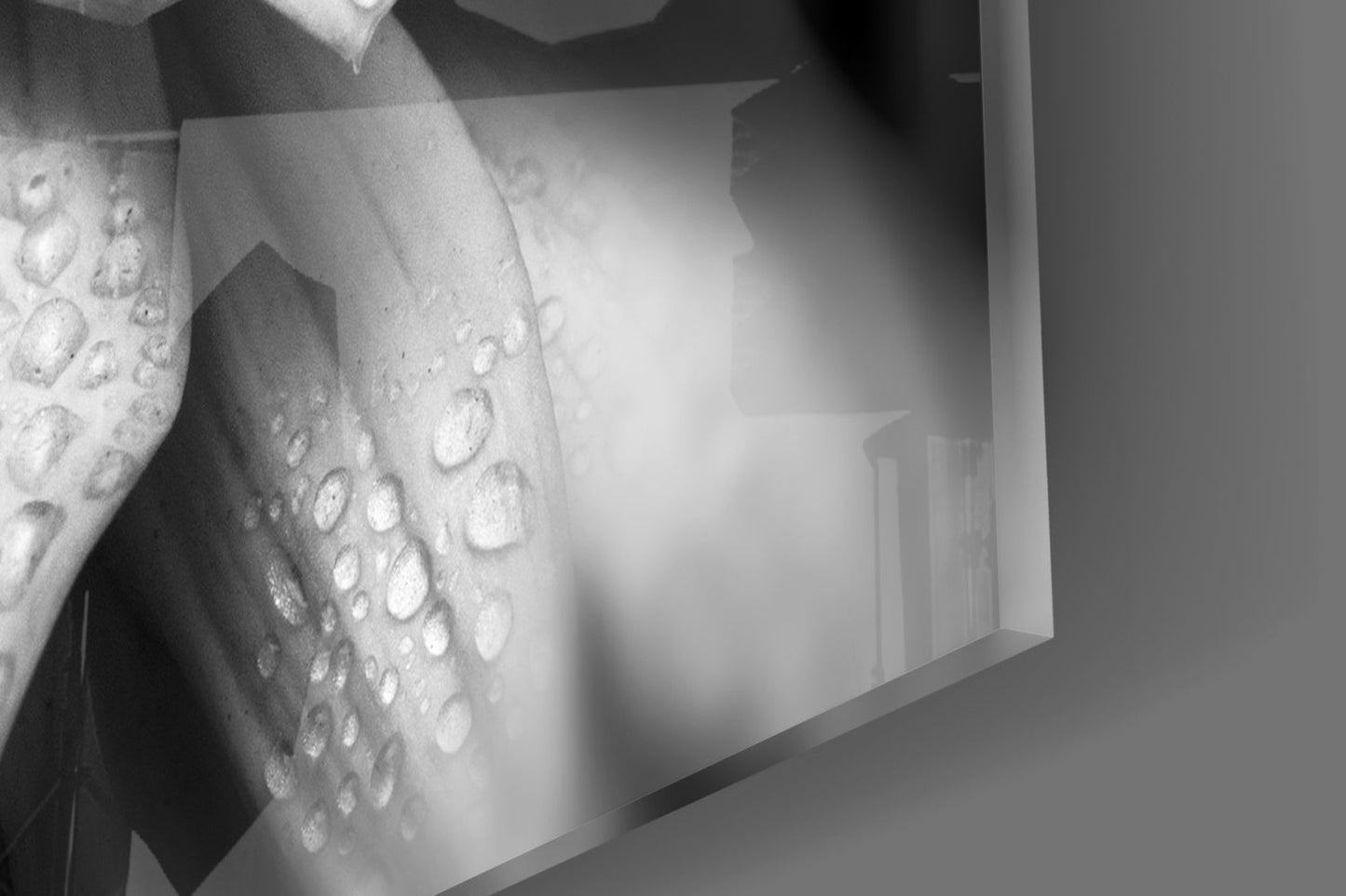 Gray Dahlia Macro Glass Wall Art