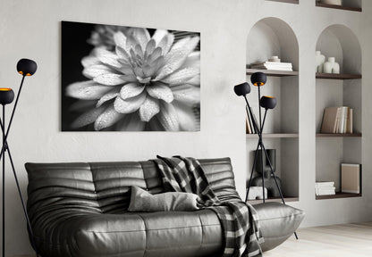 Gray Dahlia Macro Glass Wall Art
