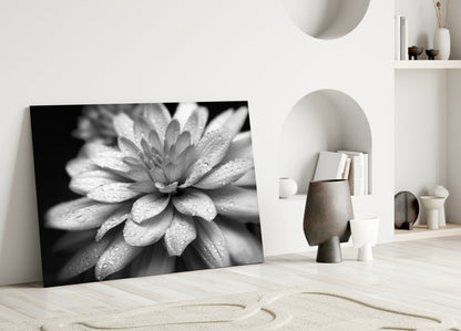 Gray Dahlia Macro Glass Wall Art