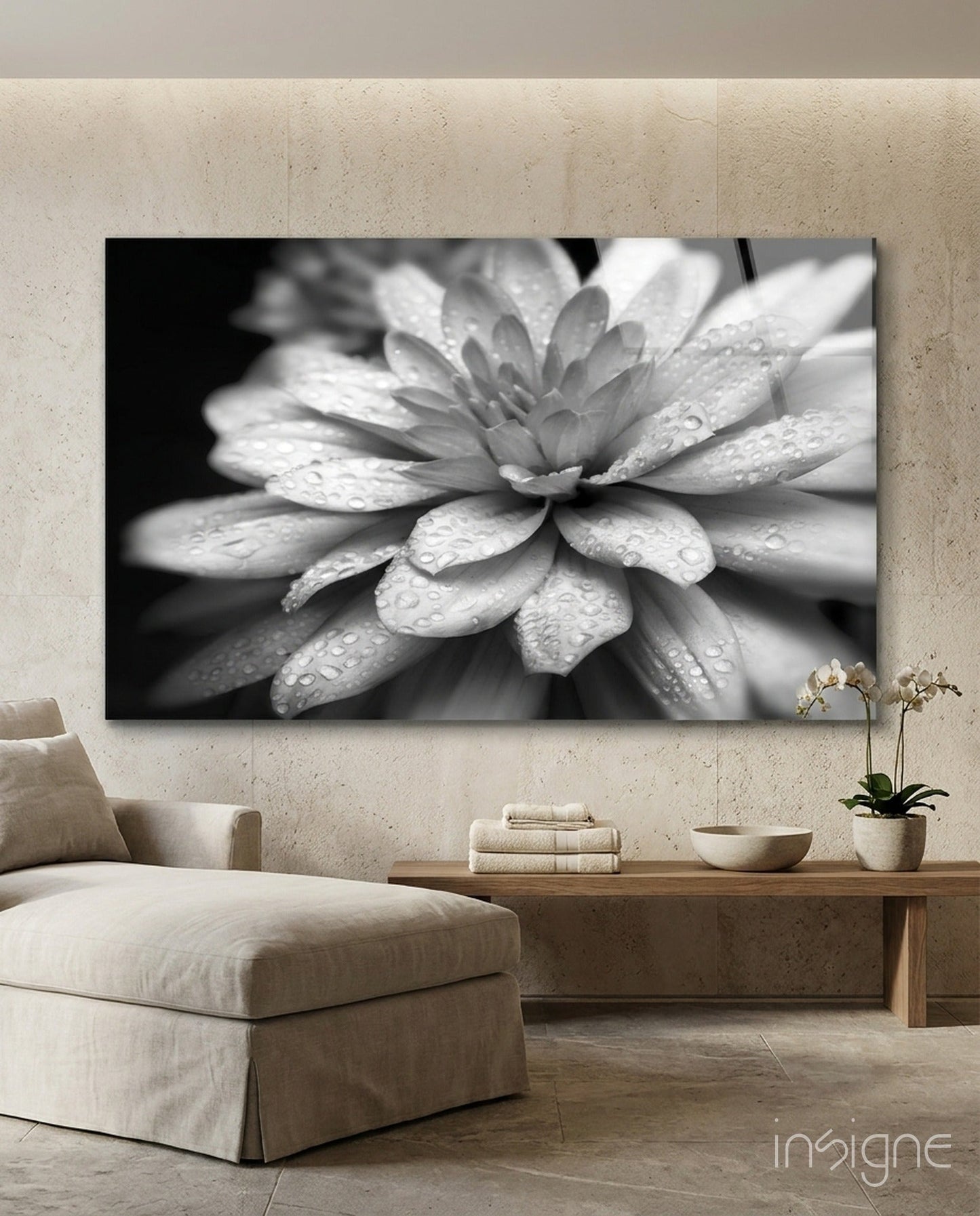 Gray Dahlia Macro Glass Wall Art