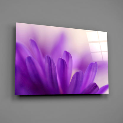 Purple Daisy Petals Glass Wall Art